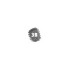 3B