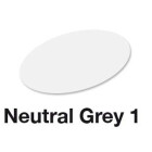 Neutral Grey 1