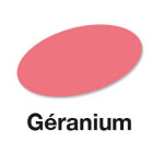 Geranium