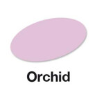 Orchid