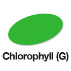 Chlorophyll